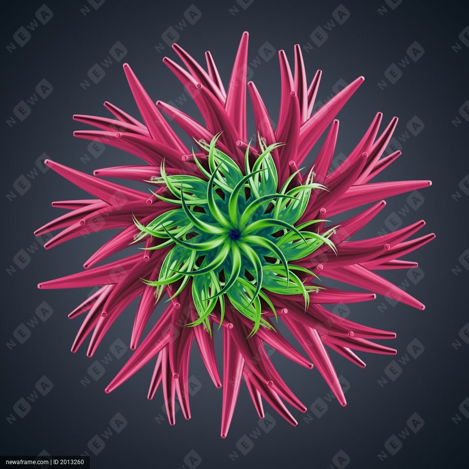 A vibrant, symmetrical flower with sharp pink petals and a green, leafy center radiates against a dark background.