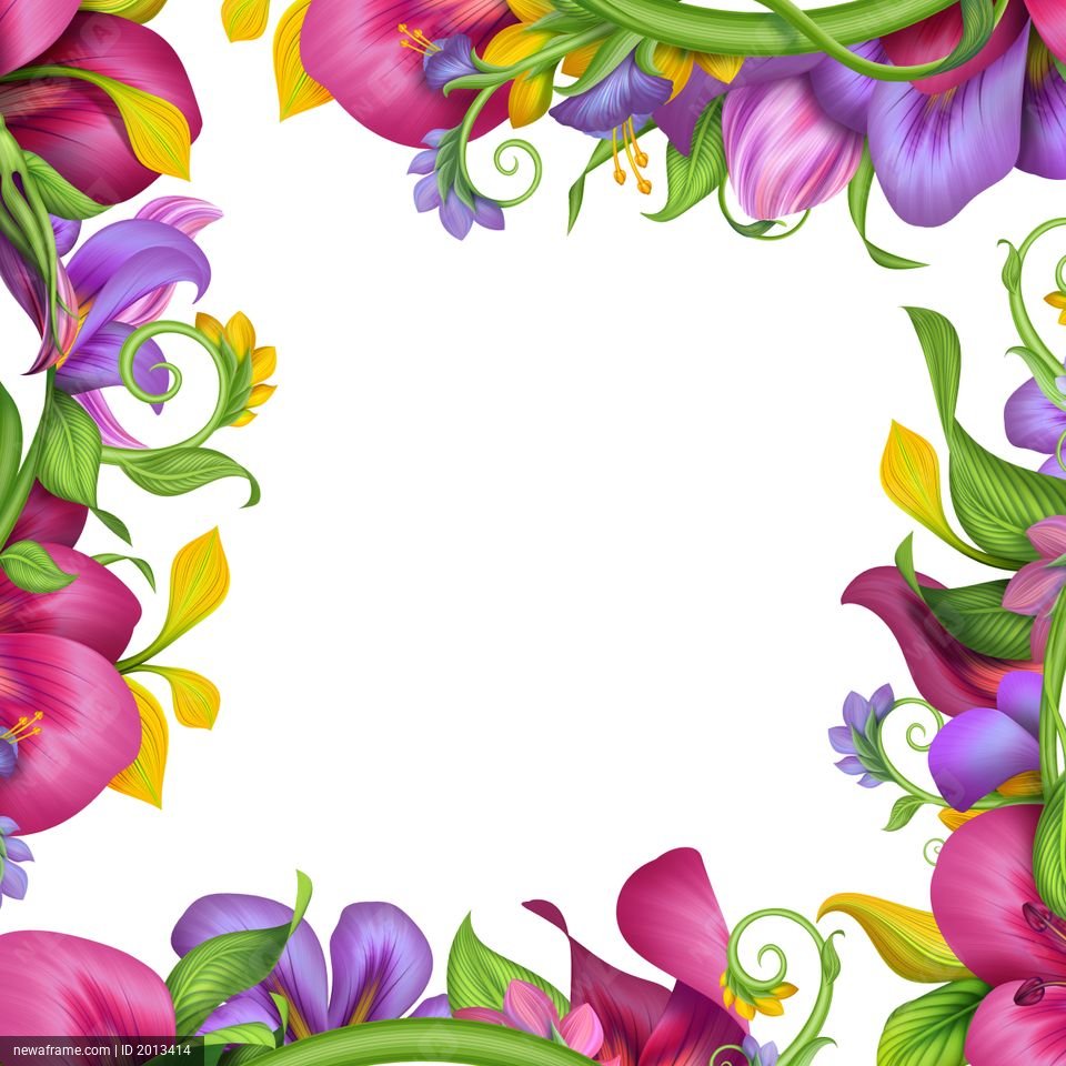 Colorful flowers frame a white space with vibrant petals and green leaves.