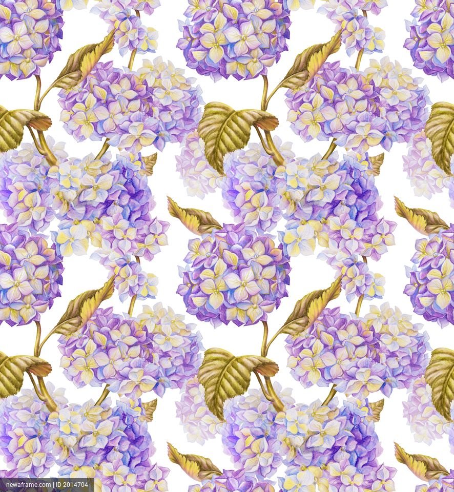 Watercolor hydrangeas bloom in purple and white hues with golden leaves against a white background.
