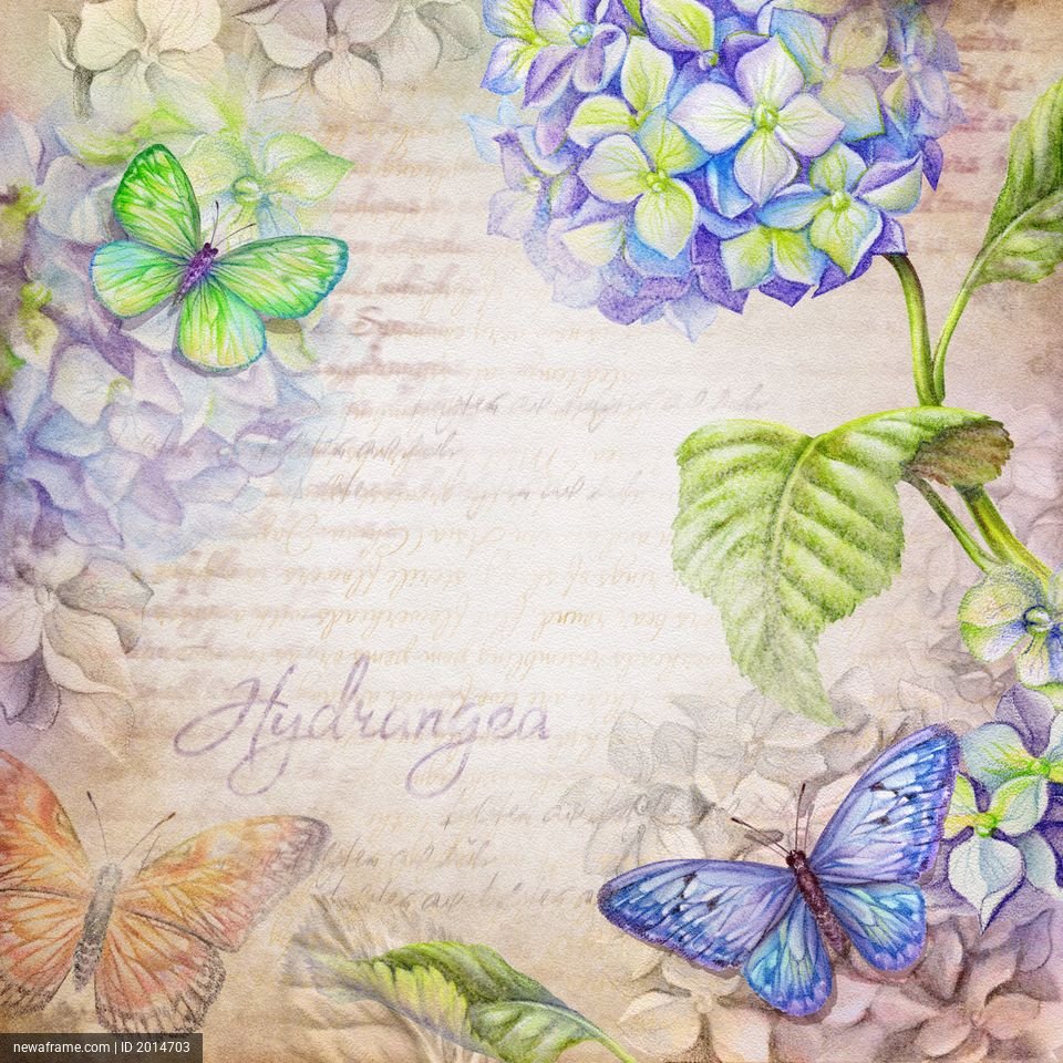 A vintage-style illustration features blue and green hydrangeas and colorful butterflies on a textured, script-filled background.
