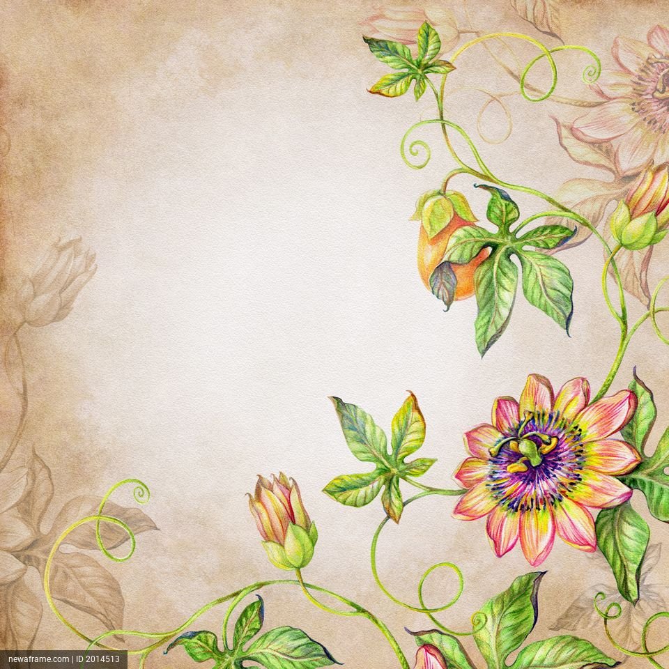 A watercolor illustration features vibrant passionflowers and green vines on a textured, vintage-style paper background.