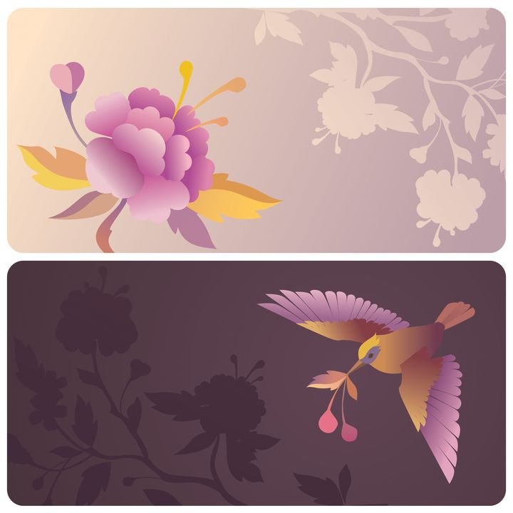 A vibrant floral banner features a pink peony with yellow accents against a soft background. Below, a hummingbird flies gracefully, holding pink flowers in its beak.