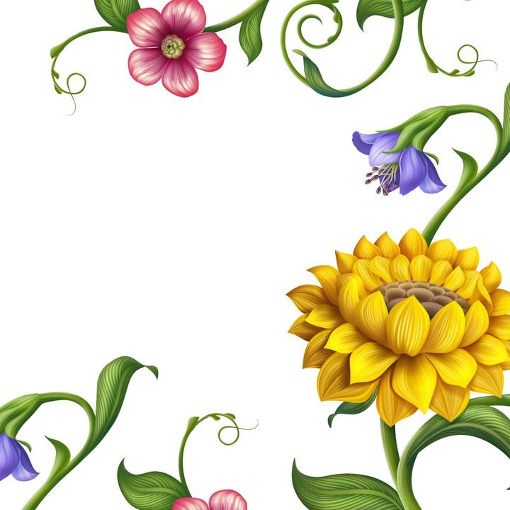 Colorful flowers and green vines frame a white background in a vibrant, decorative floral border design.