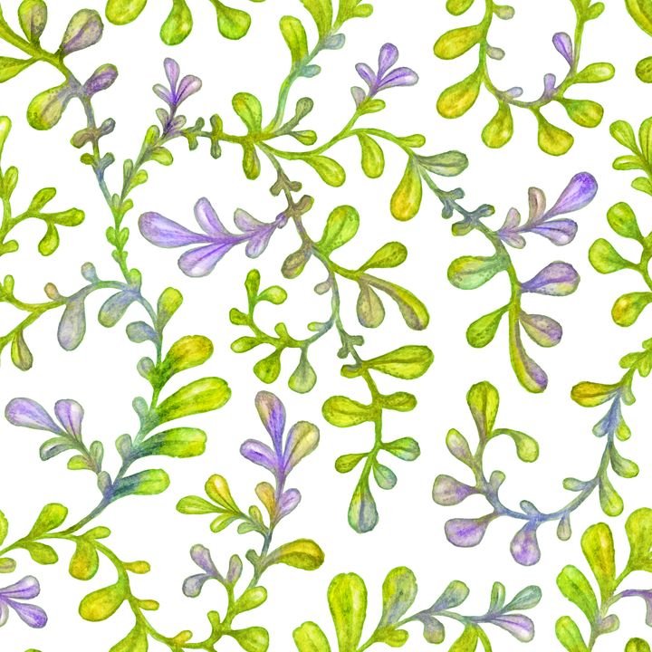 A seamless watercolor pattern features delicate green and purple leaves on white background.