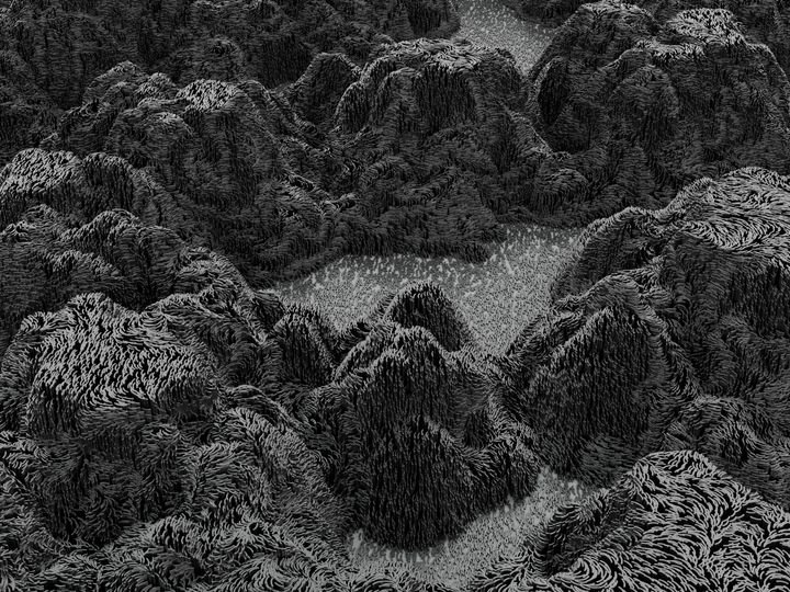 A black and white illustration depicts a rugged, textured landscape with dense, spiky vegetation and a central body of water reflecting light.