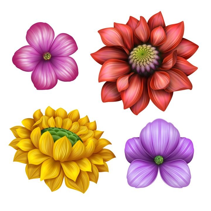Four vibrant flowers display in a grid. A pink flower, red dahlia, yellow sunflower, and purple flower showcase vivid colors and detailed textures against a white background.