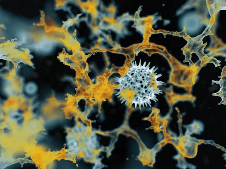 A microscopic view shows a spiky white cell surrounded by yellow and blue amorphous structures against a dark background.