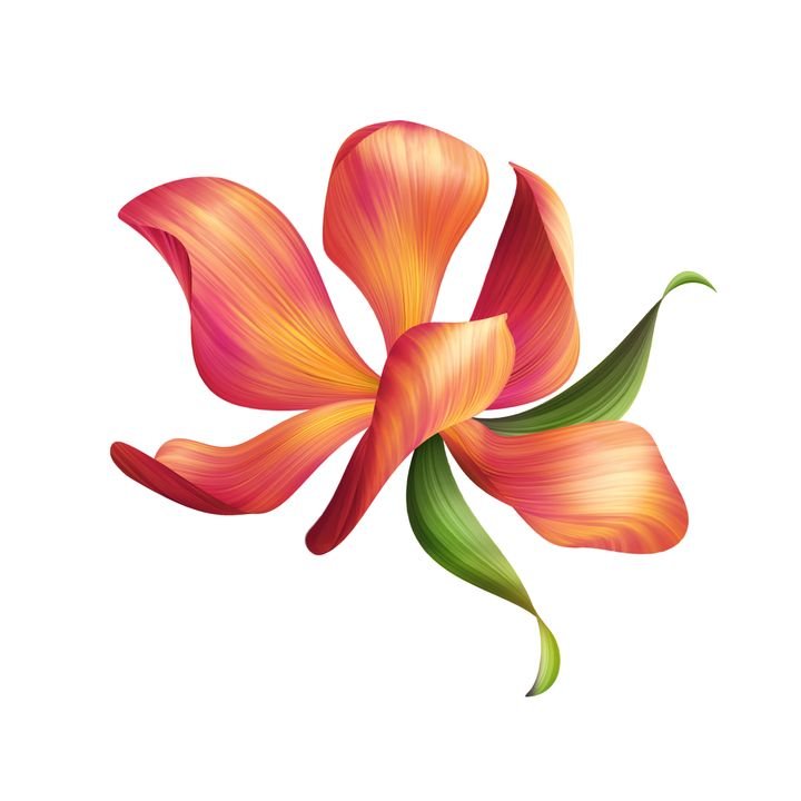A vibrant flower with orange and pink petals and green leaves stands out against a white background.