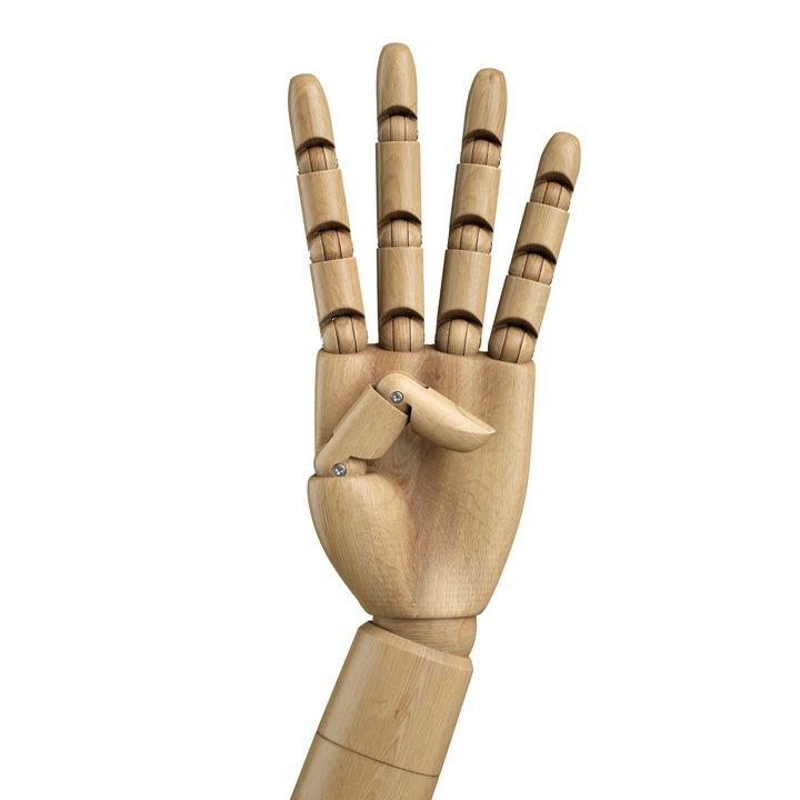 A wooden artist's hand model displays five fingers with segmented joints against a plain white background.