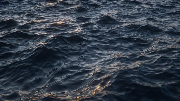 Dark ocean waves ripple under golden sunlight, creating shimmering reflections on the water's surface.