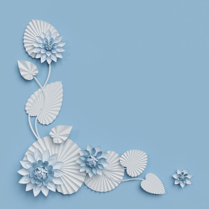 3d render, paper lotus flowers, blue wall decoration, border, white water lily, leaves, corner design element, isolated on white background
