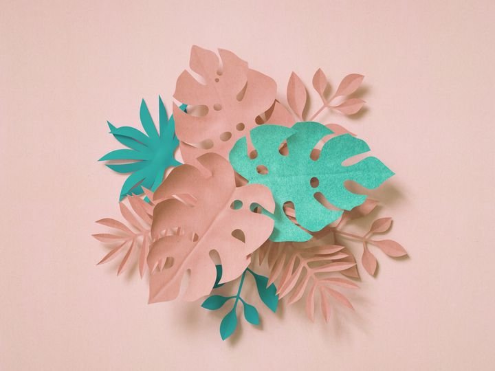 3d rendering, paper art, tropical palm leaves, botanical background, pastel colors, tropical nature, foliage