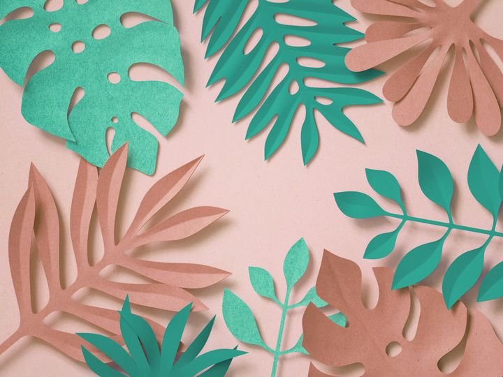 3d rendering, paper art, tropical palm leaves, botanical background, coral mint pastel candy colors, tropical nature, foliage ornament, pattern