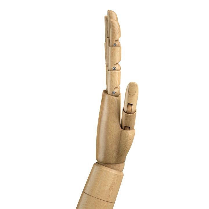 3d render, digital illustration, wooden dummy hand isolated on white background
