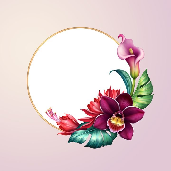 digital illustration of floral arrangement with blank round frame, botanical composition with assorted tropical flowers and green leaves isolated on pink background. Greeting card template