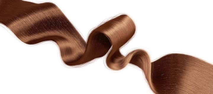 3d rendering. Silky healthy brunette wavy hair strand isolated on white background. Close-up of curly brown hairpiece, hairy ribbon, chignon hair extension clip art