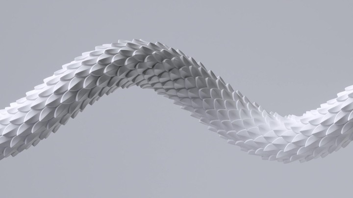 looping 3d animation, curvy flexible albino snake slides endlessly, isolated on white background. Dragon scales texture