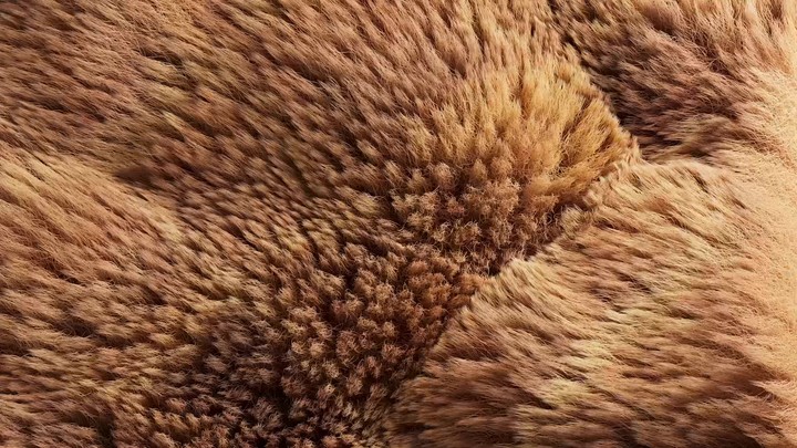 A 3D animated render of animal fur or hair. A close-up of brown fur gently blowing in the wind.