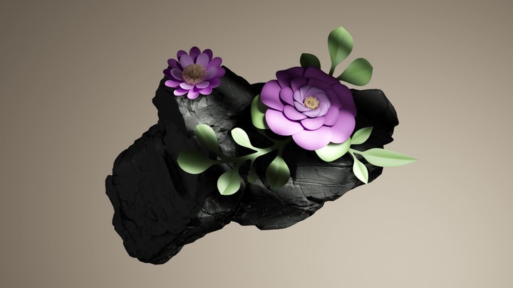 3D animation. A central composition of delicate pink paper flowers blooming on the surface of black stone, illuminated by contrasting light, isolated against a beige background