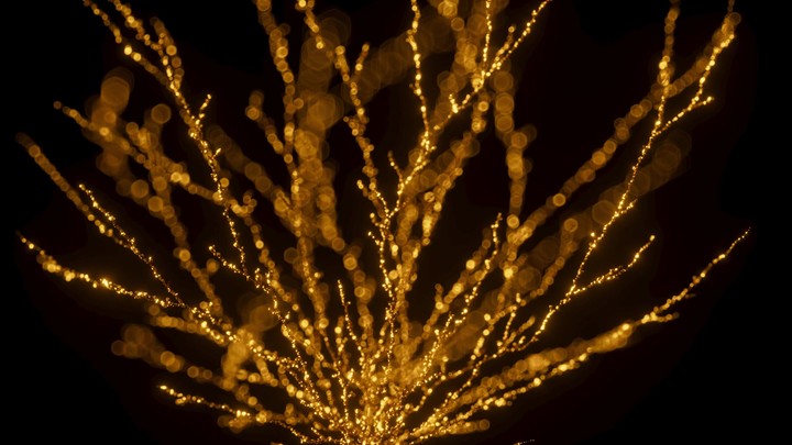 A branching coral shape made of golden sand or glitter, growing outward in all directions with bokeh effect. 3d render animation.